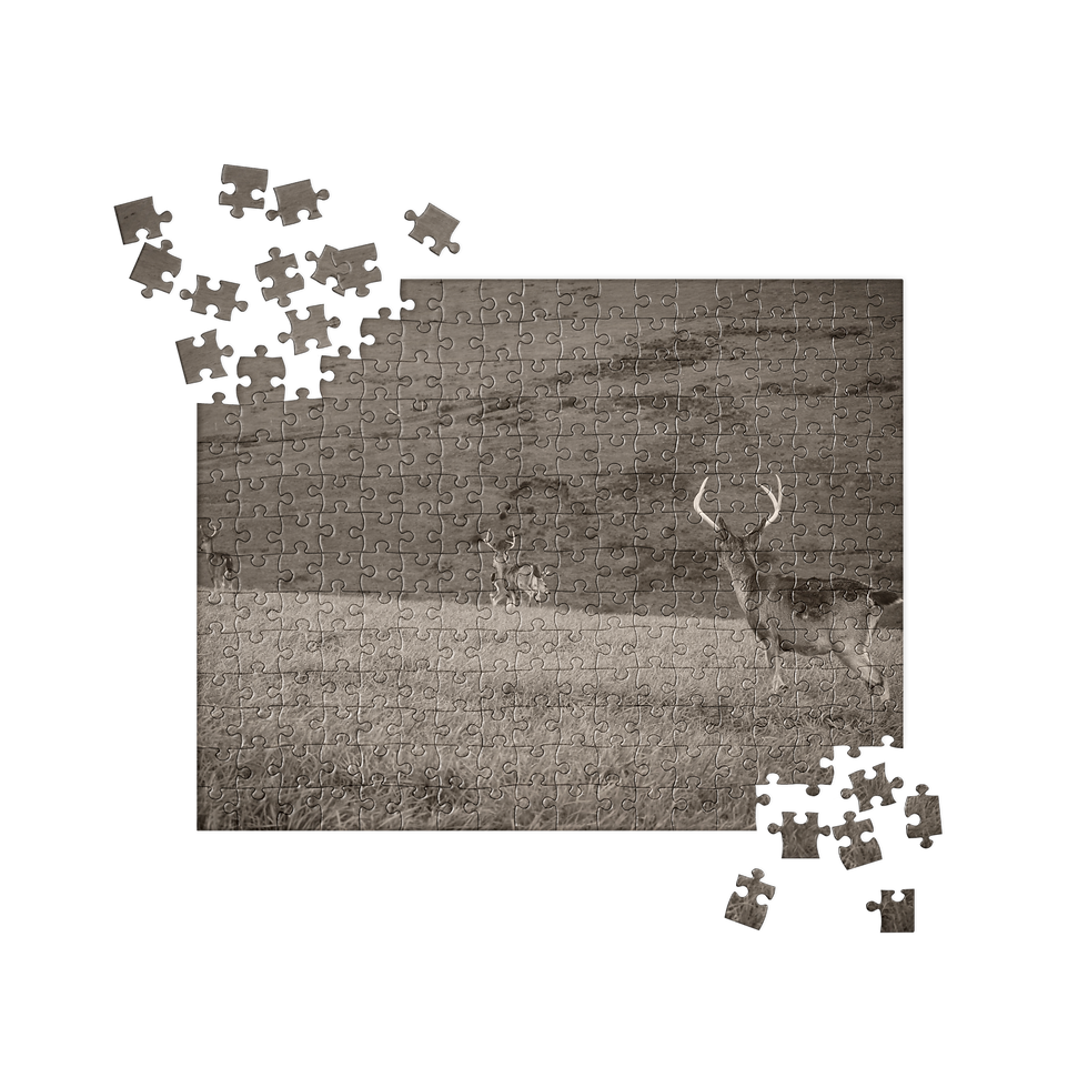 Thumbnail: 18. SMS 2019 Puzzle