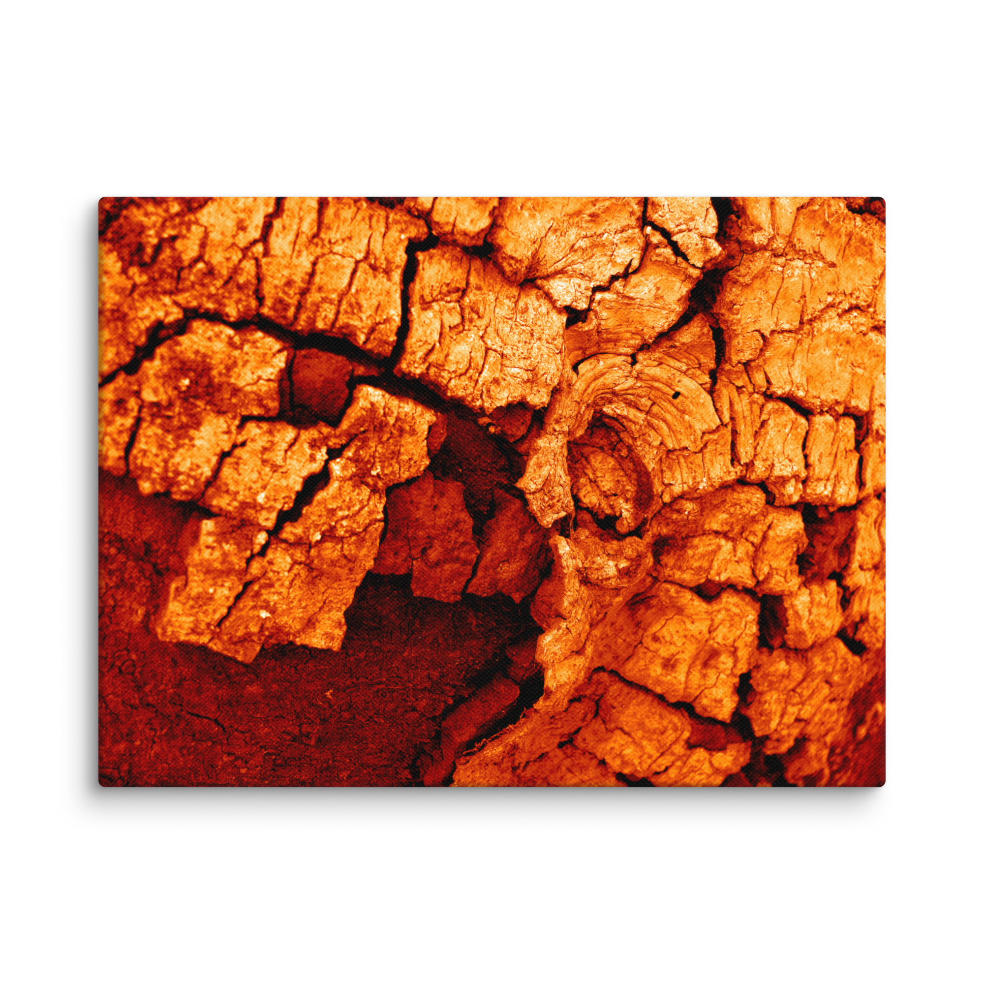 177. Textured Madera - When snow hits the asphalt MARS Canvas