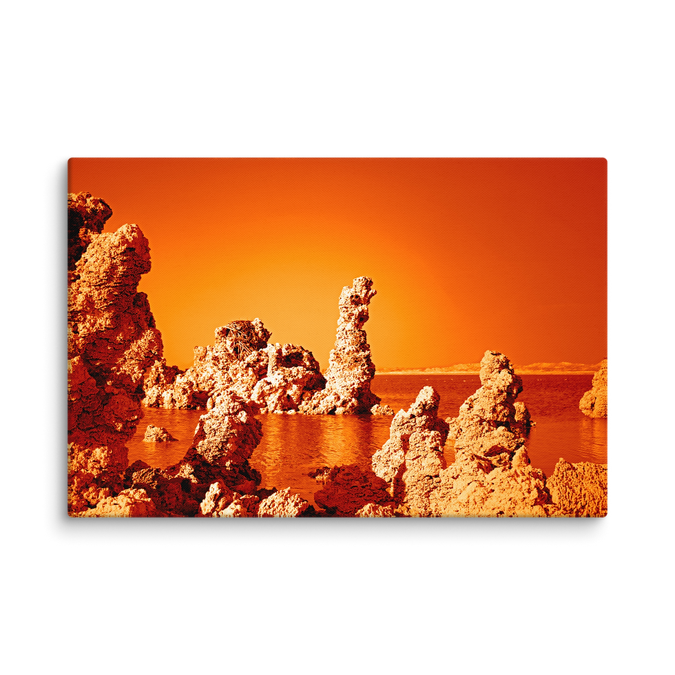 Thumbnail: 200. Petrography - Petrified Guardian MARS Canvas