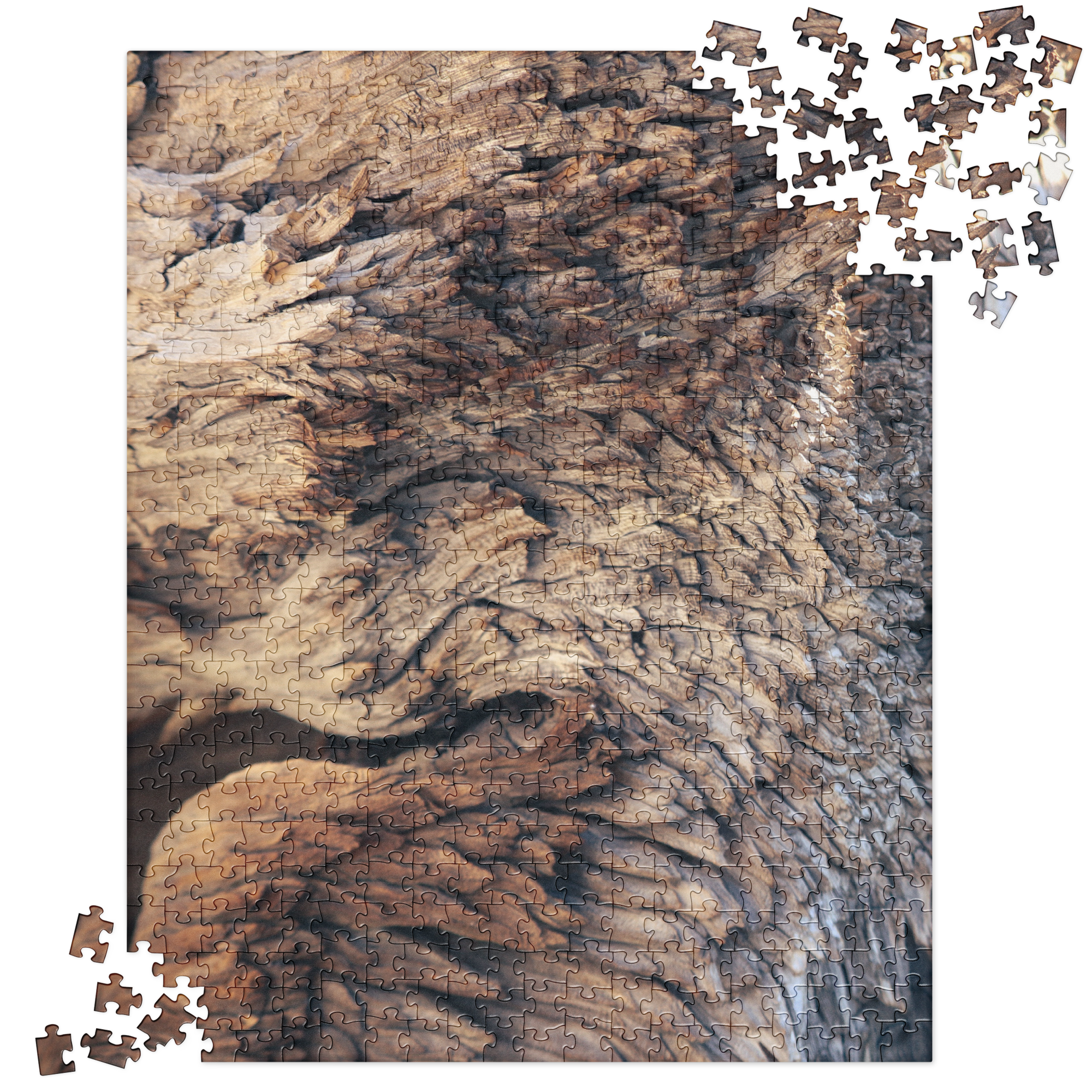 268. Textured Madera Wings Puzzle