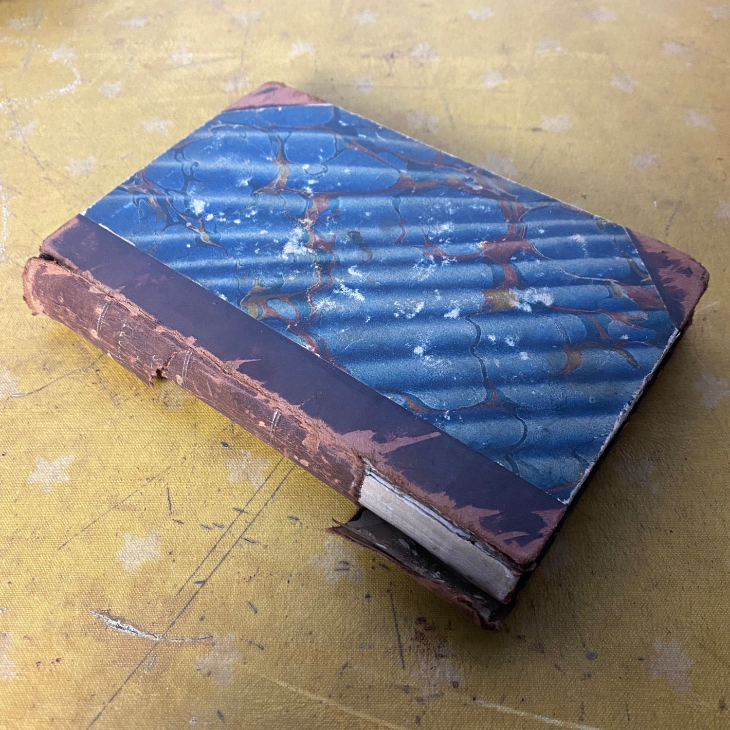 The Natural History of Bees 1840