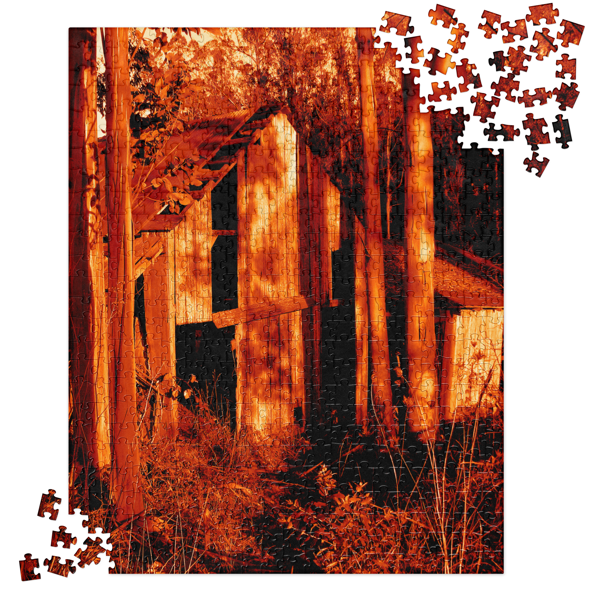 189. End World Shelter MARS Puzzle