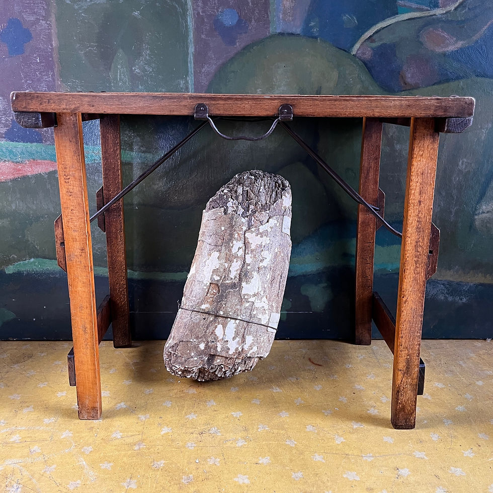 Genuine Fossilised Mammoth Tusk Section 