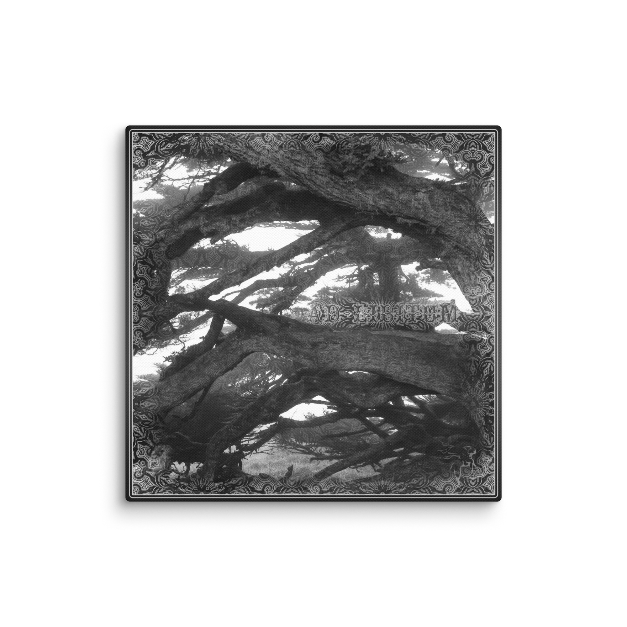 FoTiLocution 2 Ad Libitum Canvas