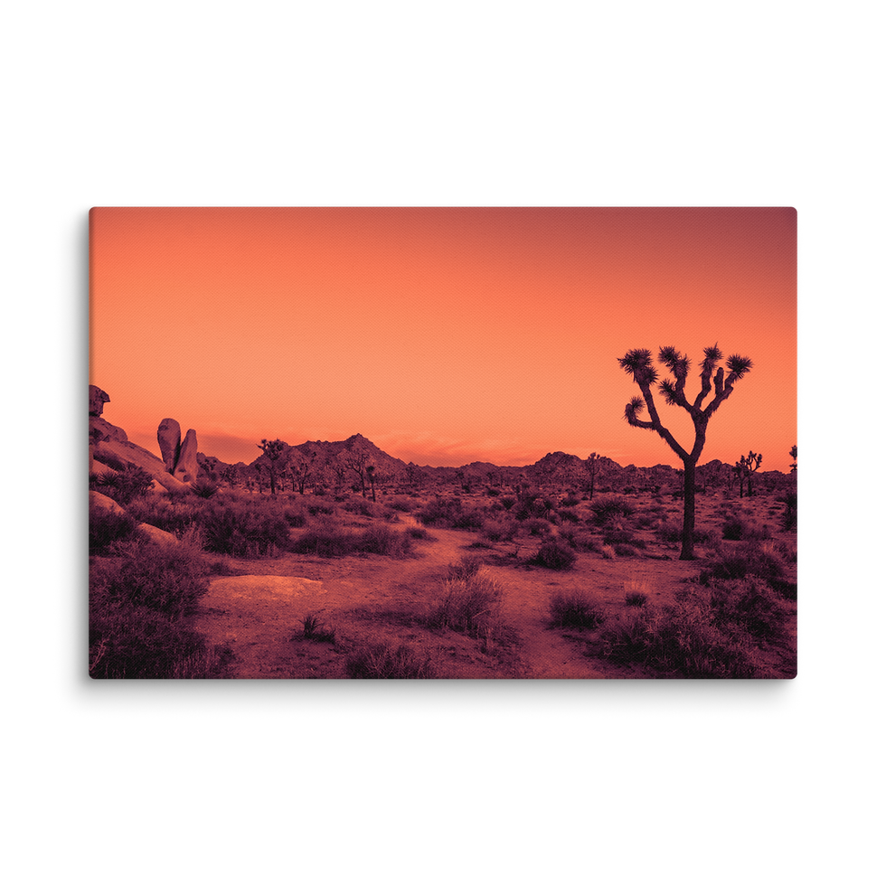 Thumbnail: JT 101024 4 Jupiter Canvas