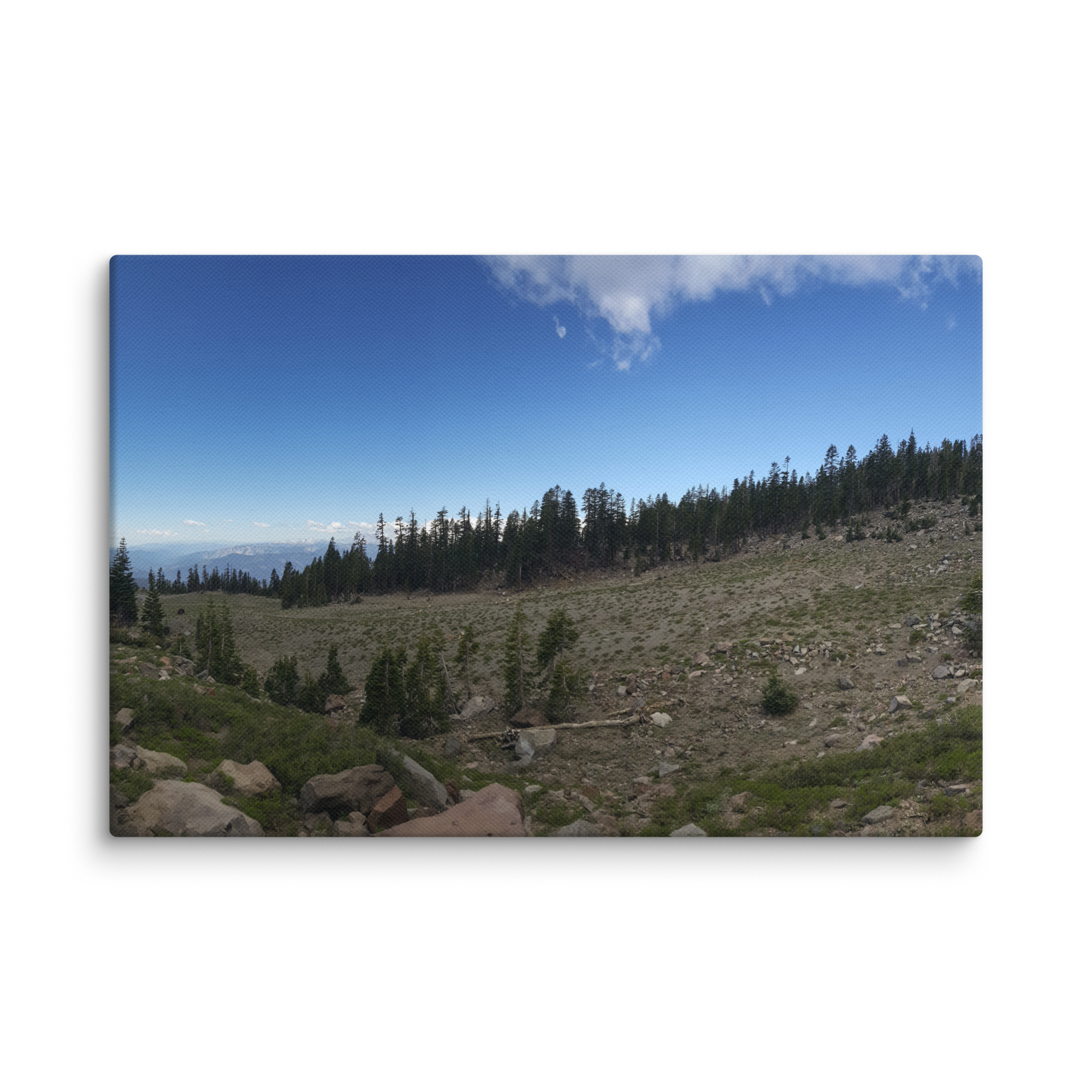 50EX Shasta 360 A1 Canvas