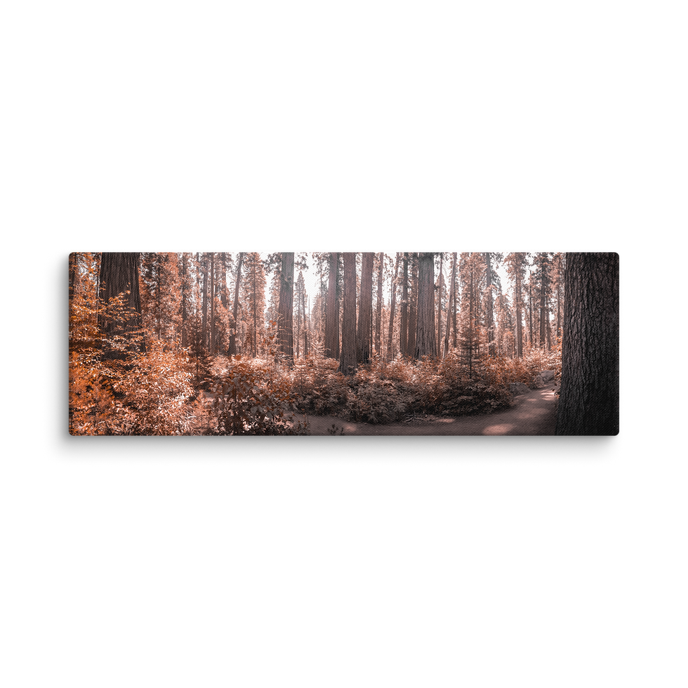Thumbnail: 24. Threa Canvas