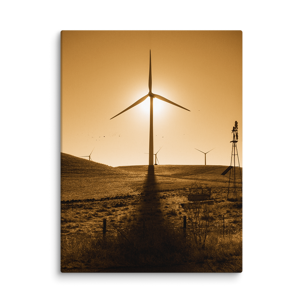 Thumbnail: 100. Inca Gold Canvas