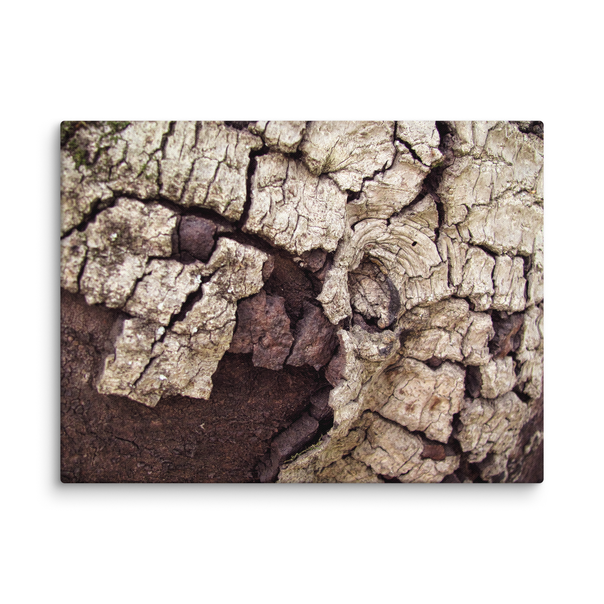 117. Textured Madera When Snow Hits The Asphalt Canvas