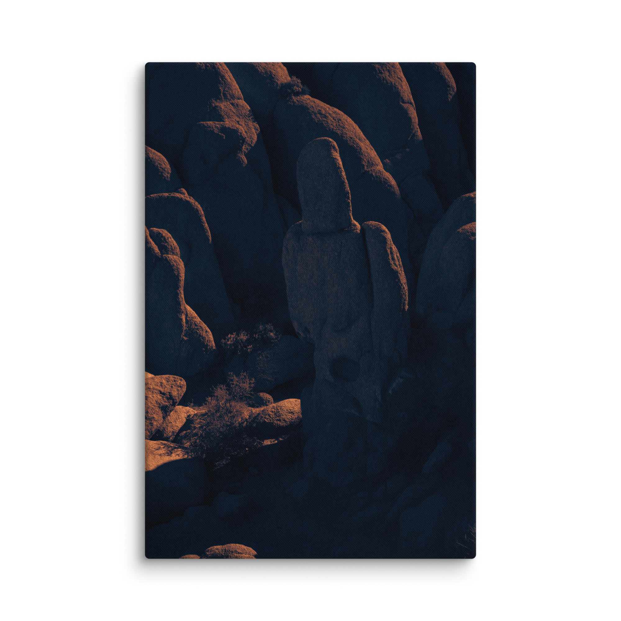 JT 101024 29 Copper540 Canvas