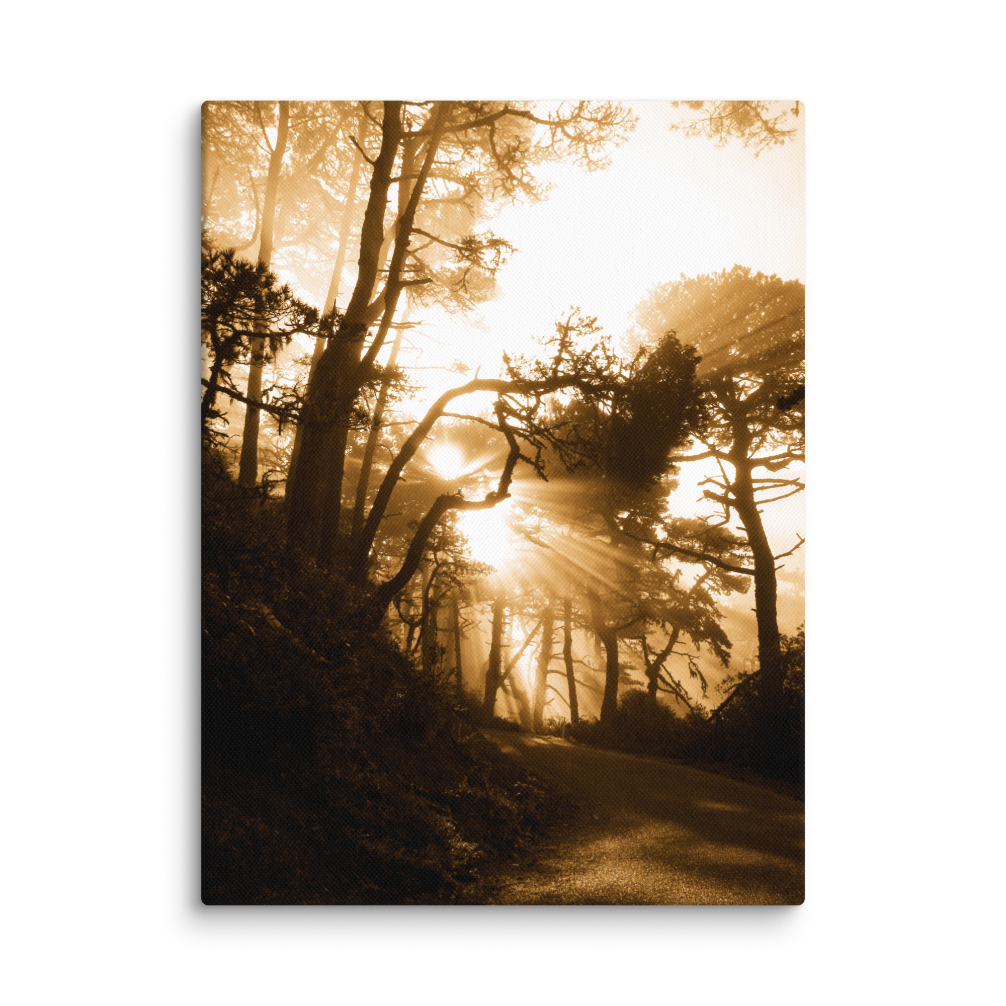 69. Inca Gold Canvas