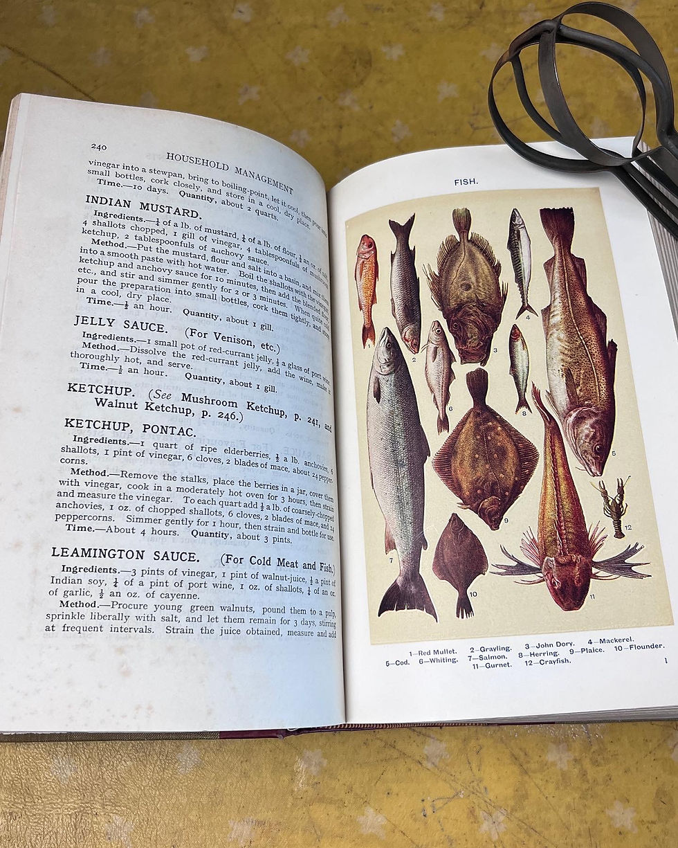 Thumbnail: Mrs Beeton’s Household Management 