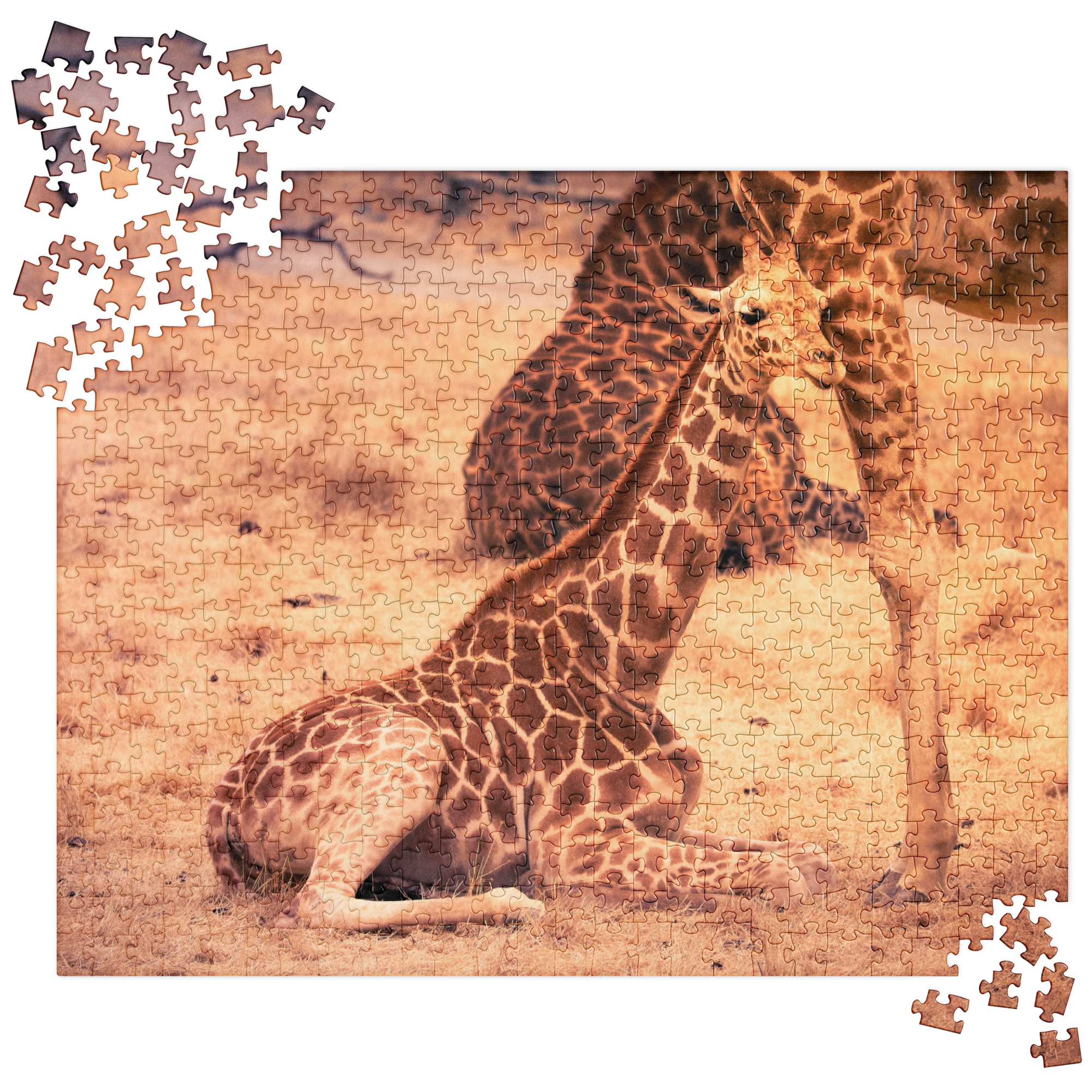 332. Comfort in Family Puzzle