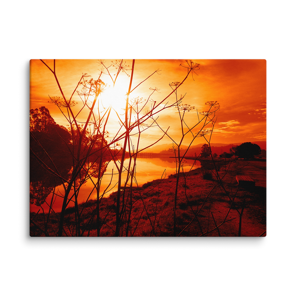 Thumbnail: 147. Reflection through design II MARS Canvas
