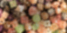 LotsOfDiceBanner.jpg