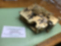 image1 (1)-min.jpeg