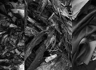 박화연_더미가 되는 것들_피그먼트 프린트_42x59.4cm(2작), 59.4x84.1cm(1작)_2021.jpg