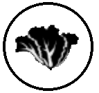 vegetable icon.gif