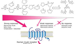 ﻿양자생물학, 생명의 비밀을 풀 수 있는 가장 작은 열쇠