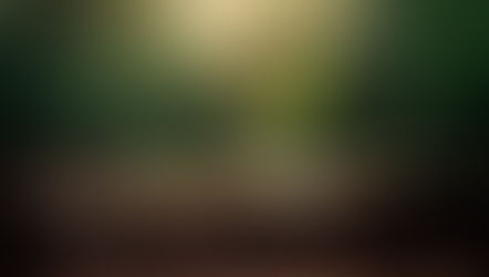 비 오는 날의 냄새는 어떻게 만들어지는가