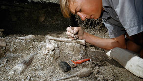 Paleo-Express 1부: 고생물학과 캄브리아기 대폭발