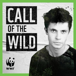 Abb. 2: Call of the Wild mit Asa Butterfield, Hier zum Reinhören: https://www.wwf.org.uk/podcast