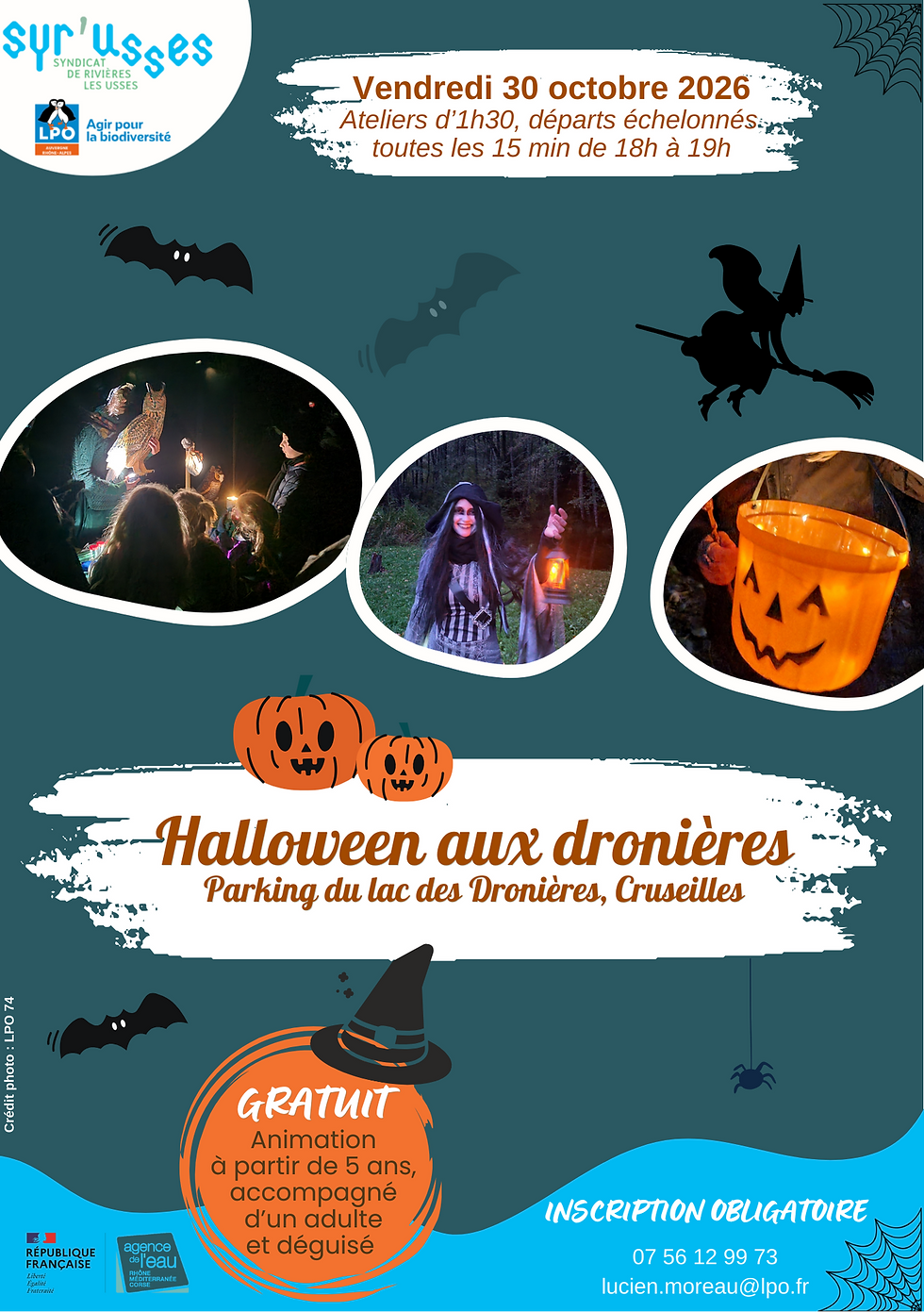 2026-10-30_Animation Halloween Dronieres