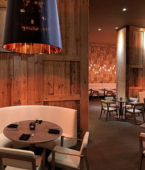 paradisus-los-cabos (1).jpg