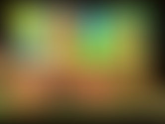 Mišja šola v Grosuplju!