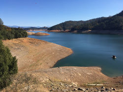 Lake Shasta