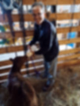Ranch hand bottle feeds baby calf