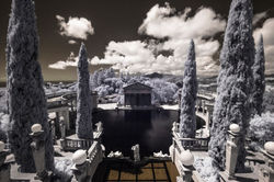 Neptune Pool Infrared