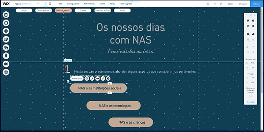 sobre_o_tema_botão_editado.png