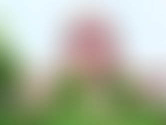 Supreme Court Upholds Art of Living Trust Land Auction; Orders Equitable Compensation