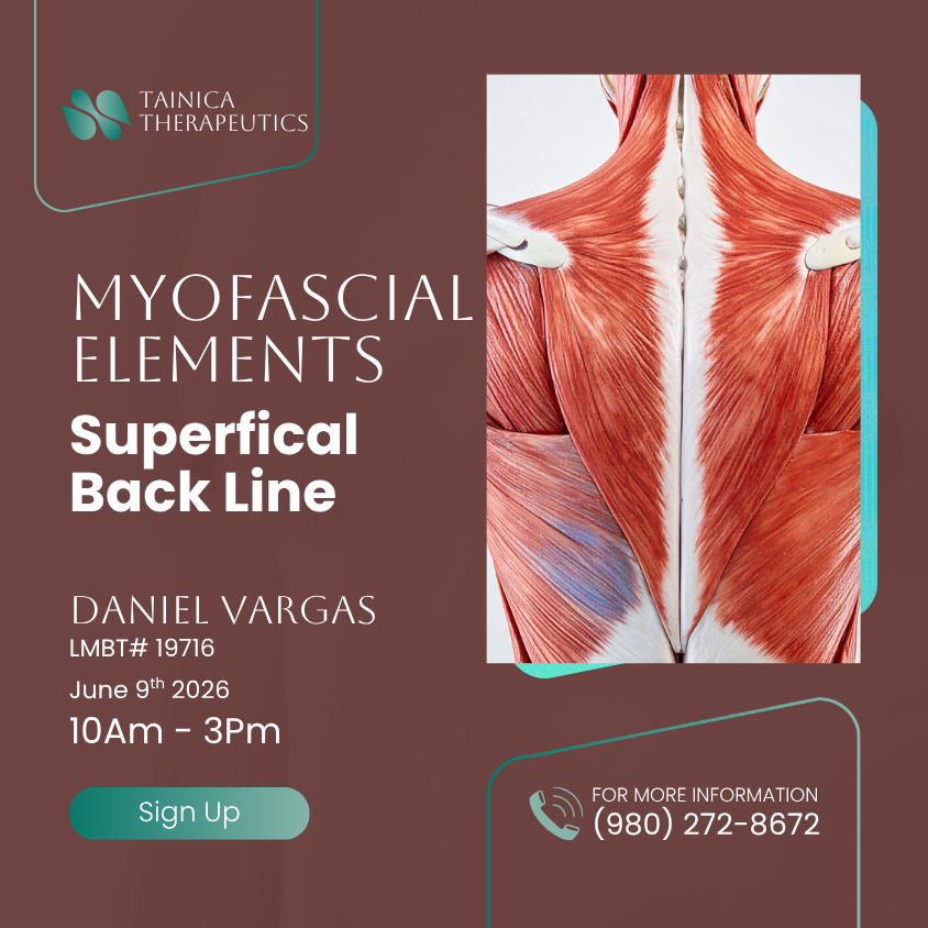 Myofascial Elements: The Superficial Back Line