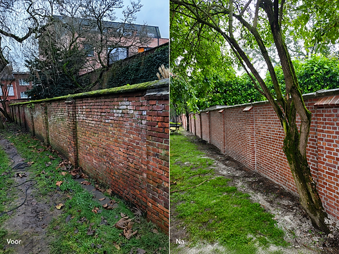 renovatie muur.png