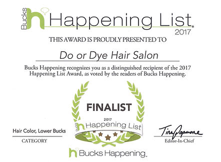 2017 Finalist - Haircut Color