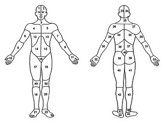 Tailored Massage Therapy in Monroe WA