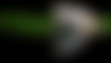 צפרדע על עלה שושנת מים