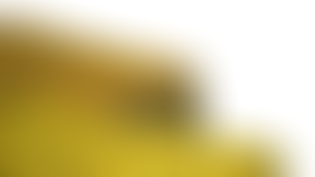 קש שעורה לבריכות נוי