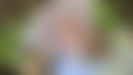 דגי זהב בתהליך אקלום בבריכת נוי