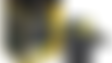 המספרים הנסתרים של פילטרי בריכות נוי