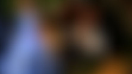 מאמר מומלץ: רביית דגי קוי (אנגלית)