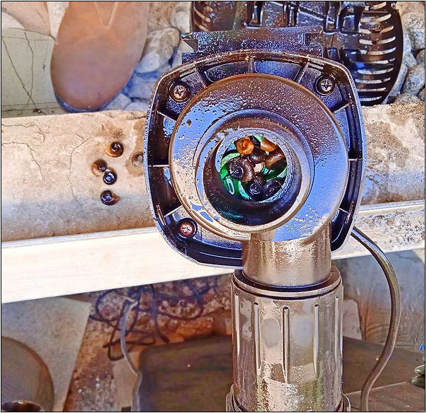 משאבה שנתקעה מחלזונות