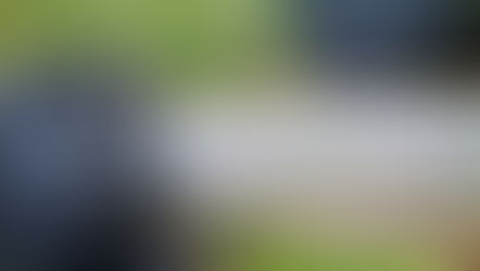 מהם הזחלים שיש על המפל ובתוך הפילטר?