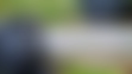 מהם הזחלים שיש על המפל ובתוך הפילטר?