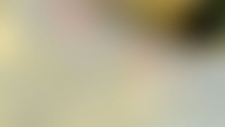 פריחת הבקטריות