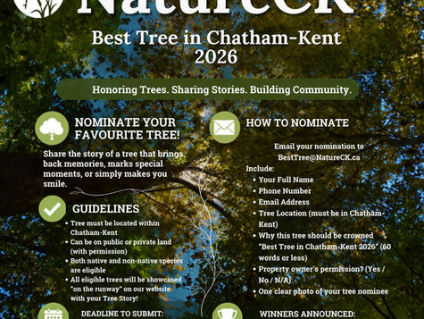 NatureCK Presents: Best Tree in Chatham-Kent 2026