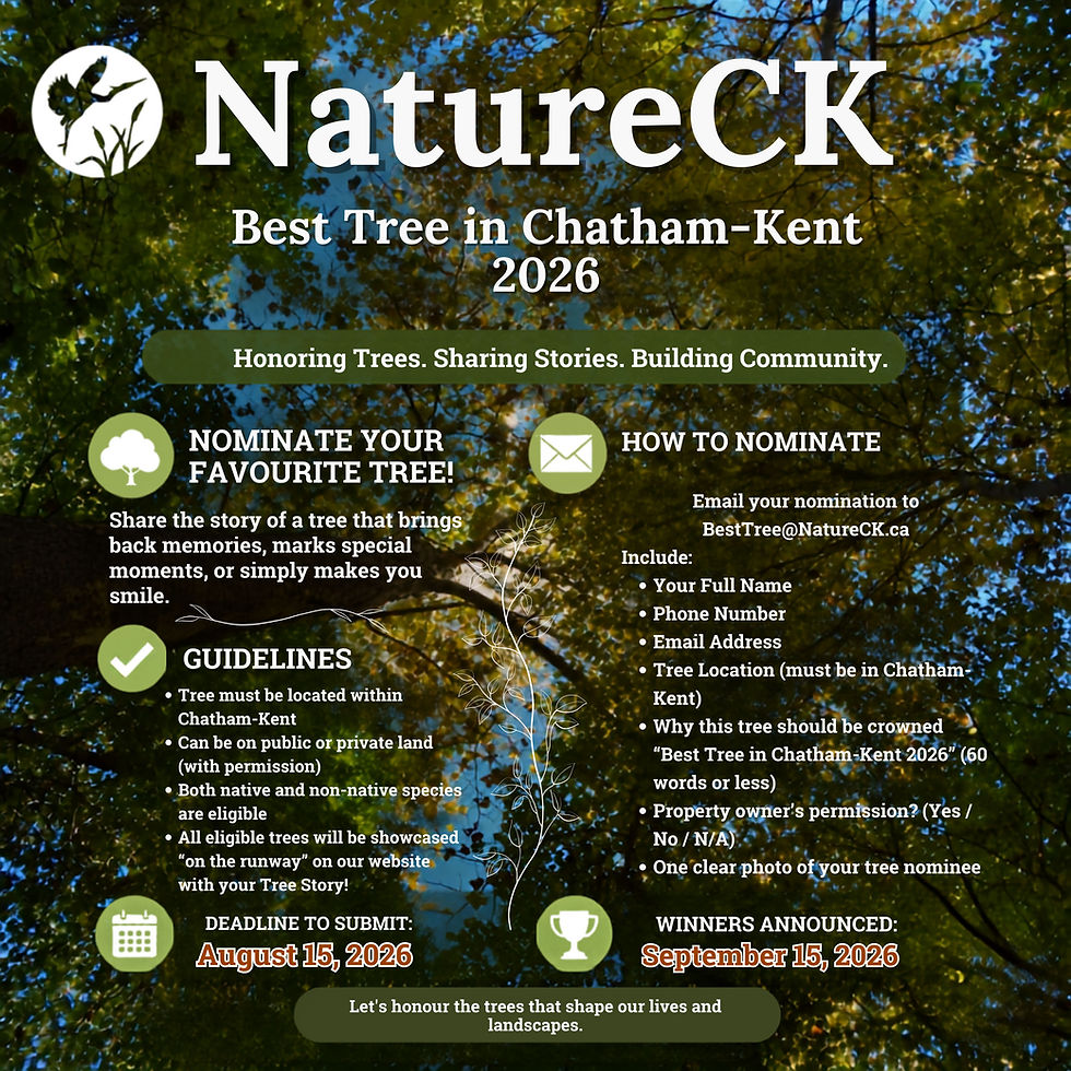 NatureCK Presents: Best Tree in Chatham-Kent 2026