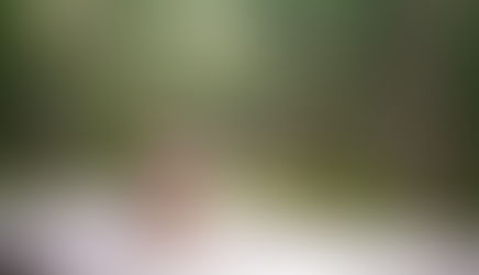 The Stone that Watched